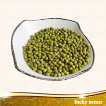 green mung bean well taste