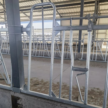 Hot Sell Cow Headlock Auto Release Cattle Stall Gate for Dairy and Beef Farms
