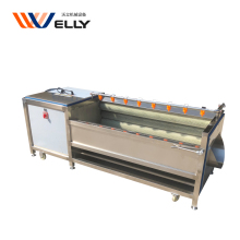 Industrial Ginger Washing and Peeling Machine