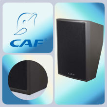 Pro Cinema surround sound speaker