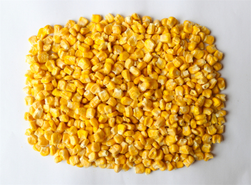 Freeze Dried Sweet Corn Whole