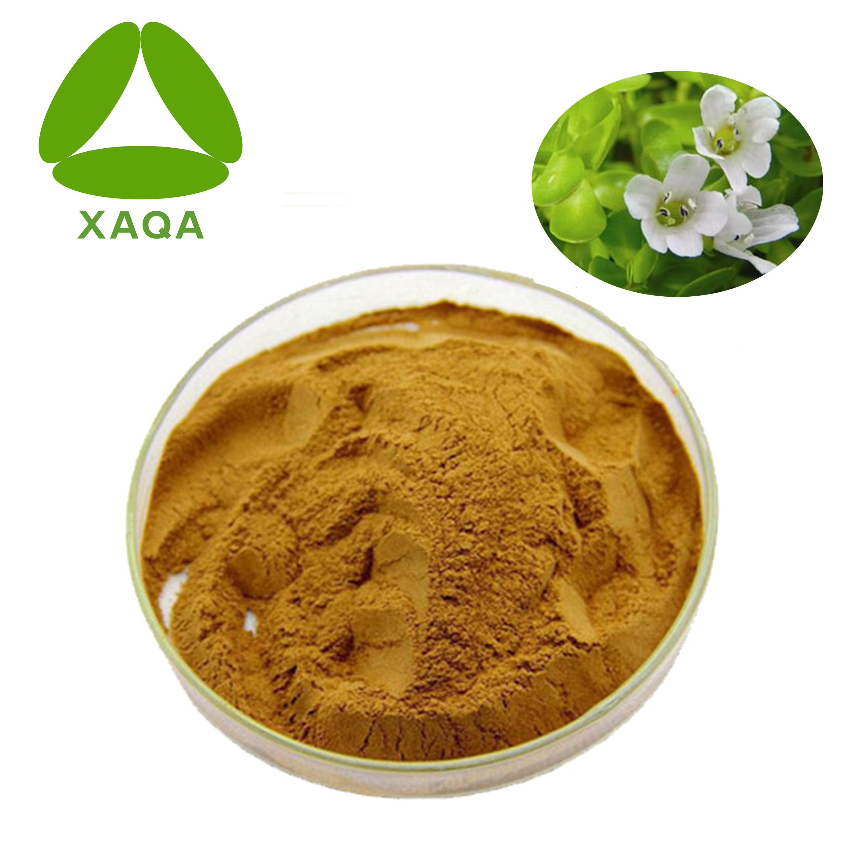 Bacopa Monnieri Brahmi Extrait Poudre Bacoside 20%