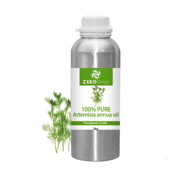 Pure Natural Artemisia Annua Huile pour Medical