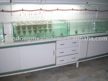 Artemia cysts fish feed