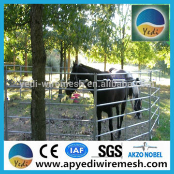 High quality /decorative fence panels fence/Cattle Panels