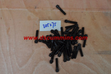 Cummins Engine Parts, Screw, Twelve Point Cap (205275)