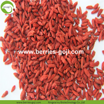 Factory Fupply Fruits Dried 500G Goji Berry