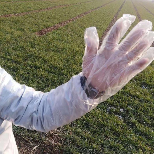 Gant vétérinaire de ferme d&#39;examen vétérinaire à bras long