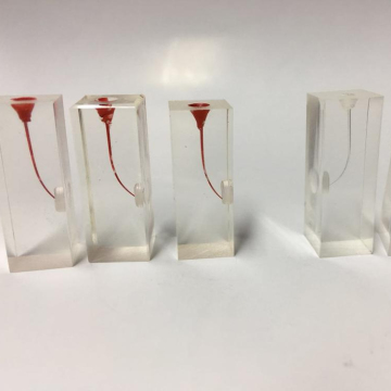 Endo Training Block Tooth Model with Nerve