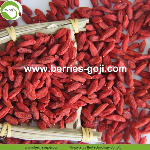 Approvisionnement en usine Fruits Nutrition saine Baies de Goji