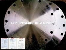 EN1092-1 Type 05 Blind Flat Face Flange