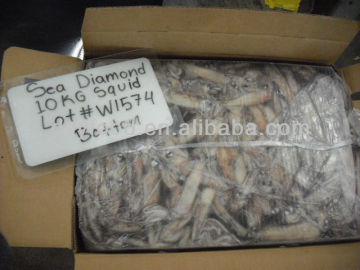 Sea Diamond California Squid