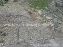 Sns Passive Protective Mesh?