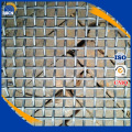 Rostfritt stål Crimped Wire Mesh / Grill Wire Mesh