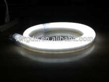 neon flex rope light