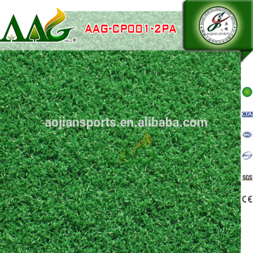 golf carpet putting green