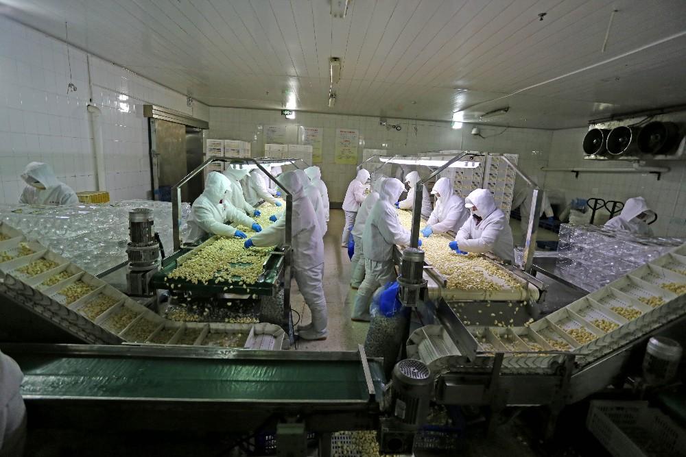 Price of Chinese Preserving Peeled Garlic Hygienic Processing Facilities