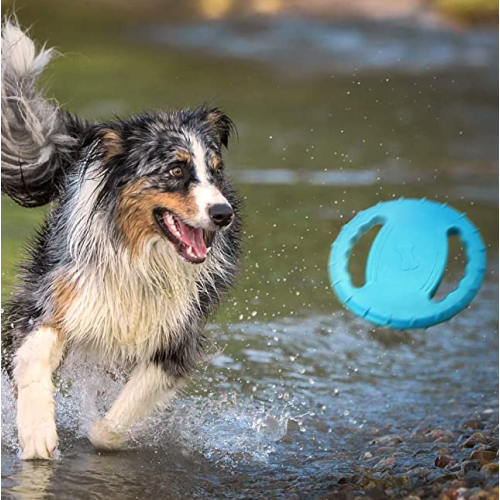 Tough Flying Disc Bermain Mainan