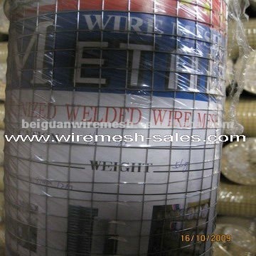 welded wire net (*hot sale*)