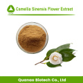 VENDAS QUENTES Camellia Sinensis Flor Extrato Pó 10: 1