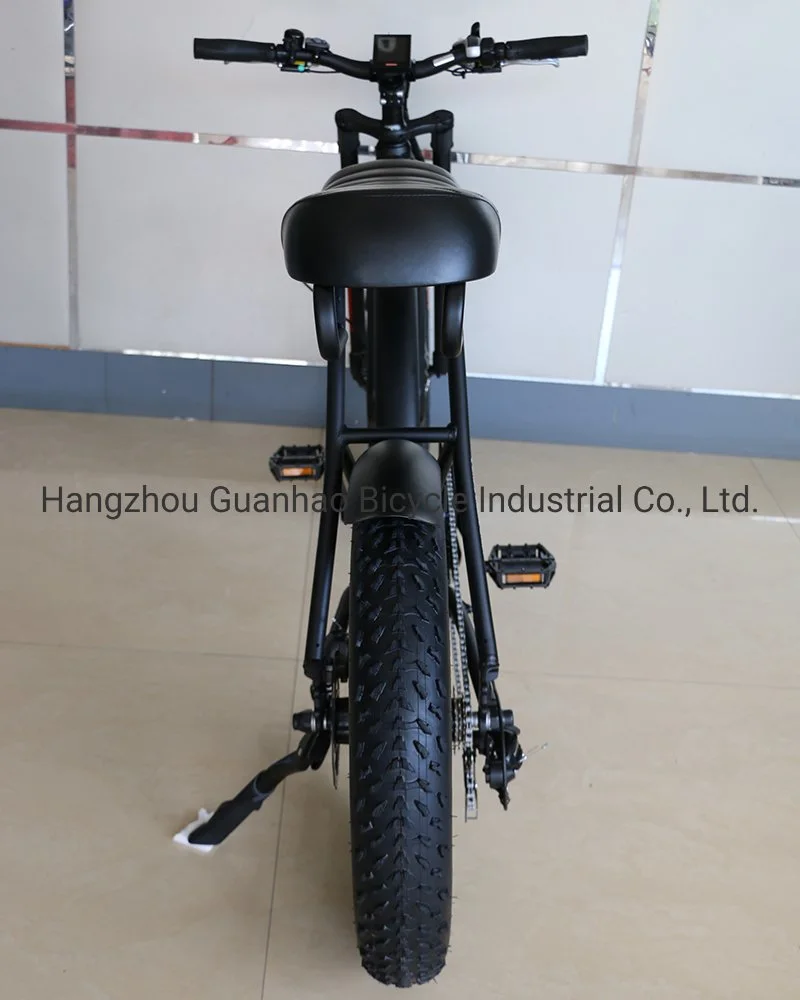 20inch En15194/CE OEM/ODM Samsung 17ah Battery New Ebike with Motor 48V 1000W Fat Tire Super 73 Electric Bike