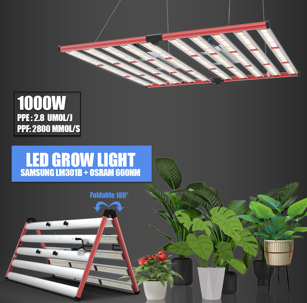 AGLEX ใหม่มาถึง 1000W LM301B301H GROW LIGHT