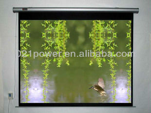 Projection Fast Fold Screen
