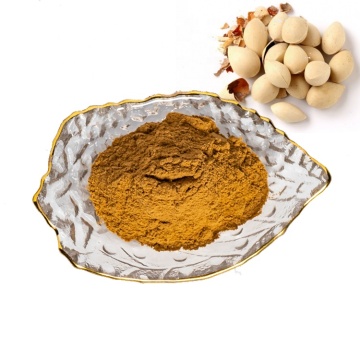 factory supply ginkgo seed extract powder/ginkgo extract 10:1
