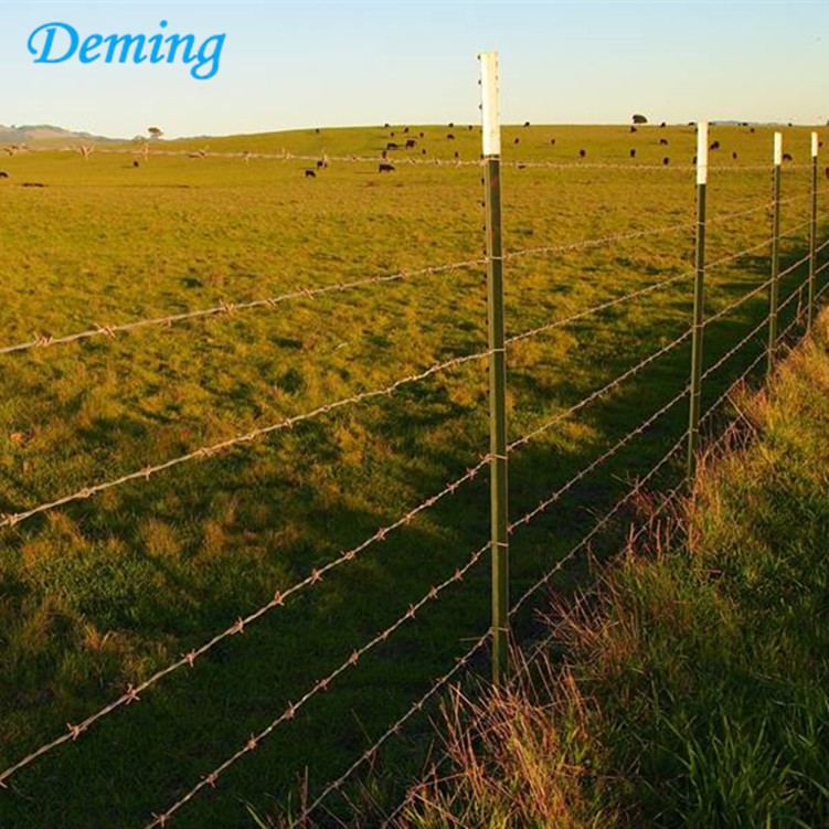 Factory Direct Wholesale Metal Farm Fence Studded T post