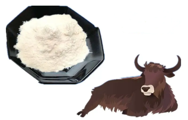 Hydrolyzed Bovine Collagen Powder