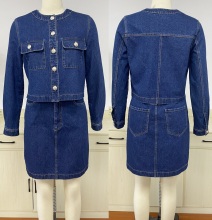 Denim Set with Stylish Blouse and Skirt