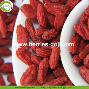 Afvallen Nutrition Fruit Package Conventionele Goji-bessen