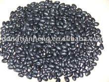Black Bean