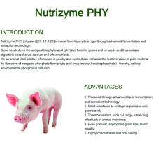 phytase المقاومة للحرارة للتغذية