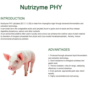 Hitzebeständige Phytase für Futtermittel