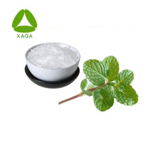 Food Additive Peppermint Extract Powder