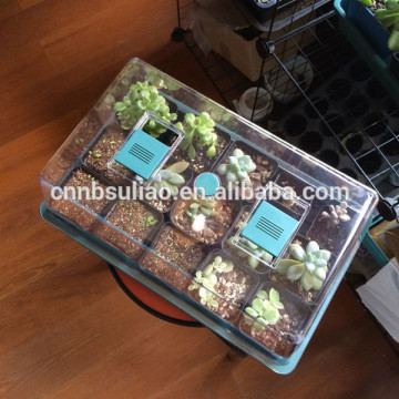 easy plant propagation