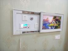 Ward Mural Bed head board System with Terminal