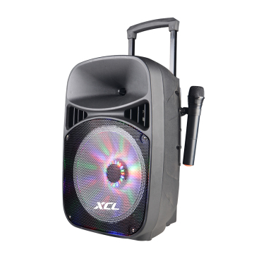 Speaker on sale for karaoke with mic