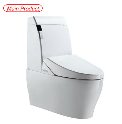 standing toilets/wc ceramic/bathroom sinks ceramic