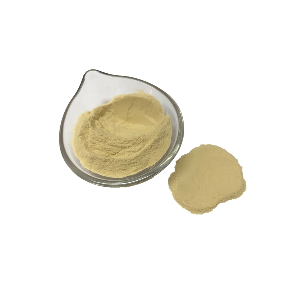 Pure Spray Dried Vegetable Powder Ginger Powder