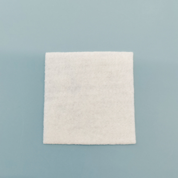 Alginate dressing silver for wound care