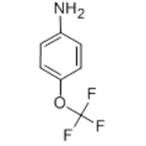 4- (trifluorométhoxy) aniline CAS 461-82-5