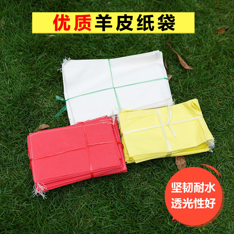 hot selling 57gsm colored fruit wrapping paper