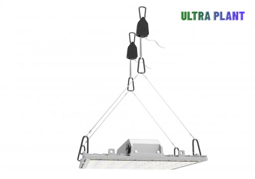 Luce LED ad alta luminosità per verdura