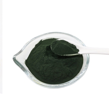 Wholesale Organic Chlorella Spirulina Powder