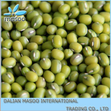 Bulk Organic Beans Mung Beans