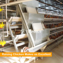 Automatisches Fütterungssystem für Geflügelschicht-Huhn-Ausrüstung