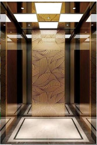 450 kg de ascensor residencial de buena calidad