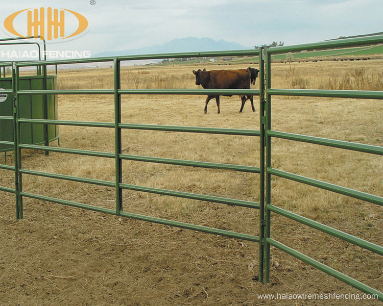 Galvanized pipe horse paddock round yard fence panel